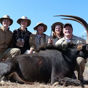 Hunt Sable Antelope South Africa