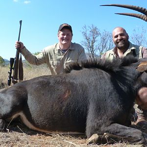 Sable Hunting in South Africa