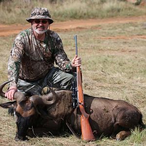 South Africa Blue Wildebeest Hunting