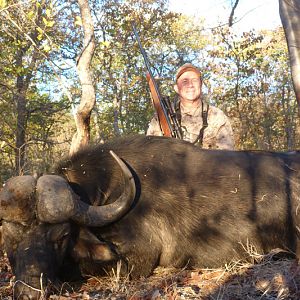 Cape Buffalo South Africa Hunt