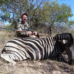 South Africa Burchell's Plain Zebra Hunting