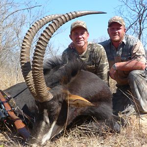 Sable Hunting in South Africa