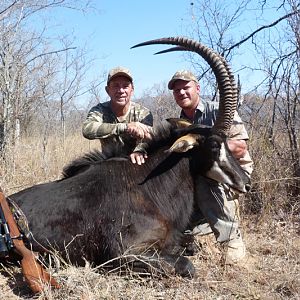 Hunt Sable Antelope South Africa