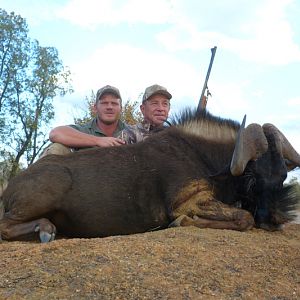 Black Wildebeest Namibia Hunt