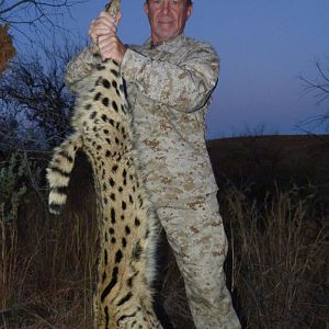 Serval Cat Hunting in South Africa