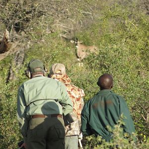 Hunting Fringe-eared Oryx in Tanzania