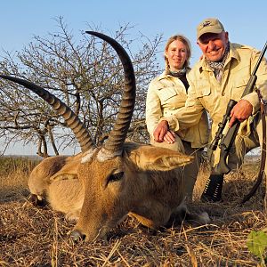 Zululand Common Reedbuck