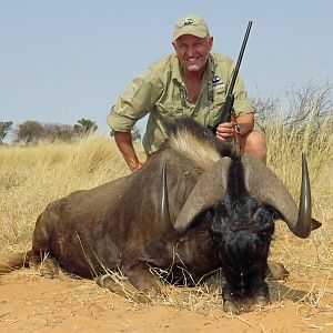 Black Wildebeest