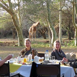 Giraffe & breakfast