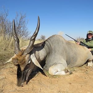 Eland after great stalk