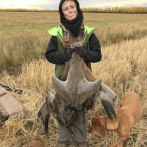 Waterfowl Hunting Sandhill Crane