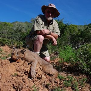 Hunting Caracal in South Africa