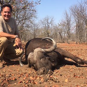 South Africa Buffalo Cow Hunt