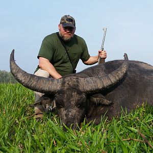 Asiatic Water Buffalo Hunt