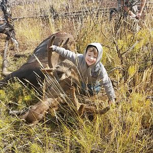 Hunting Alaska Moose