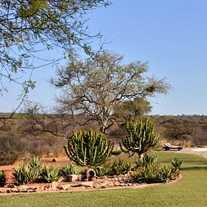 South Africa Lodge Hunting