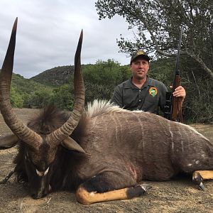 Nyala Hunt South Africa