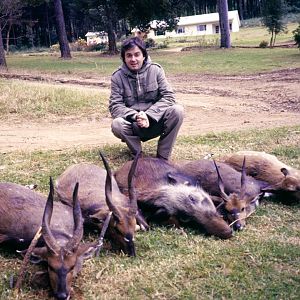 Bushbuck, Bushbuck & Duiker Hunting South Africa