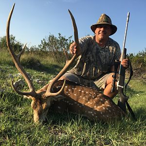 Axis Deer Hunt Texas