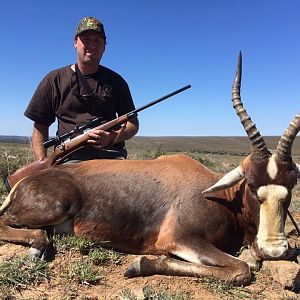 Hunting Blesbok South Africa