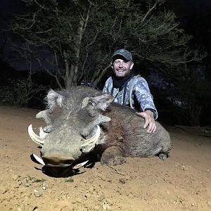 South Africa Warthog Bow Hunting