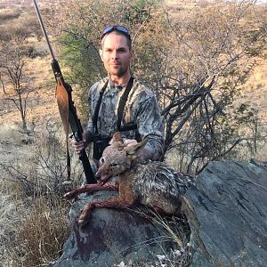 Jackal Namibia Hunting