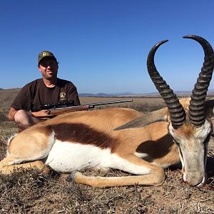 Springbok Hunting South Africa