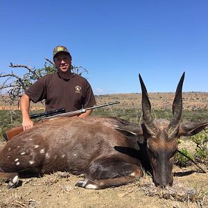 Bushbuck  Hunting South Africa