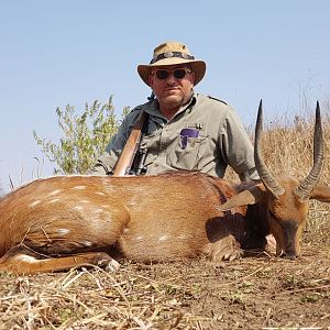 Bushbuck  Hunting South Africa