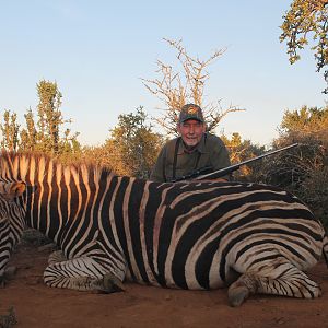 South Africa Burchell's Plain Zebra Hunt