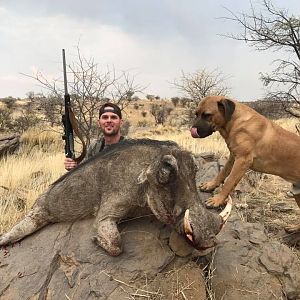 Warthog Namibia Hunting