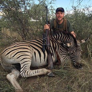 South Africa Burchell's Plain Zebra Hunting