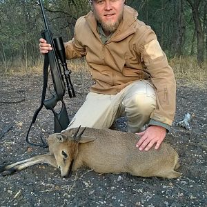 Duiker Hunting South Africa