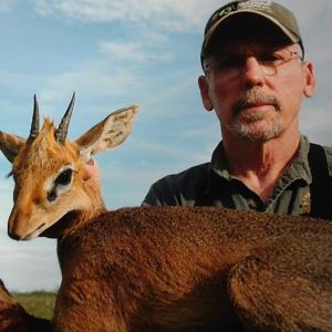 Damara Dik Dik Namibia Hunt