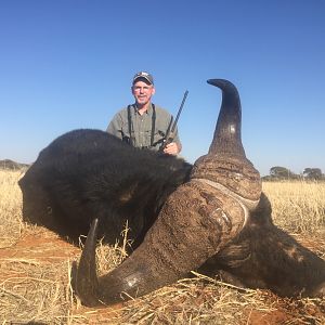 Cape Buffalo Hunting