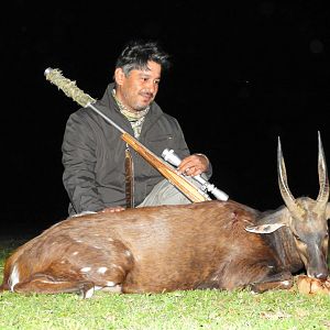 Bushbuck  Hunting South Africa