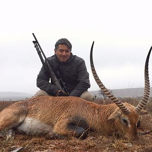 Red Lechwe Hunting in South Africa