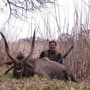 Nyala Hunt South Africa