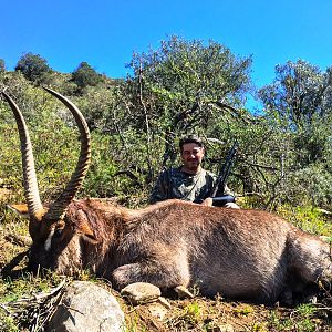 Waterbuck South Africa Hunt