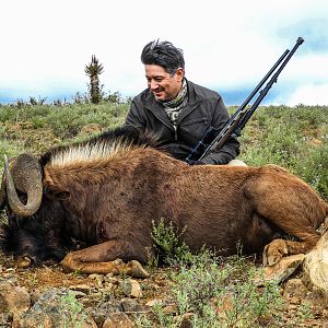 Hunt Black Wildebeest South Africa