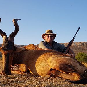 Red Hartebeest Hunt South Africa