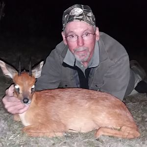 Hunt South Africa Cape Grysbok