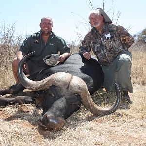 Cape Buffalo South Africa Hunt