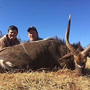 Nyala Hunt South Africa