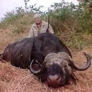 Zimbabwe Cape Buffalo Hunt