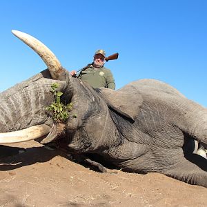 Elephant NAMIBIA