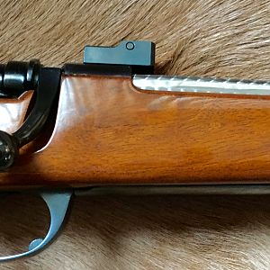 Whitworth .375 H&H