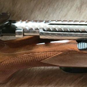 Whitworth .375 H&H