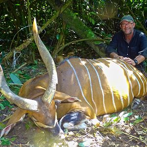 Congo Bongo Hunting