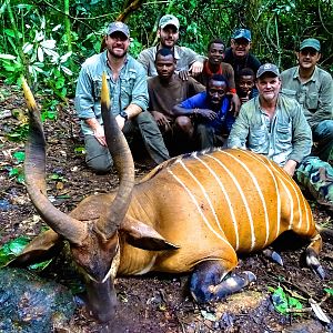 Congo Bongo Hunting